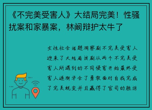 《不完美受害人》大结局完美！性骚扰案和家暴案，林阚辩护太牛了